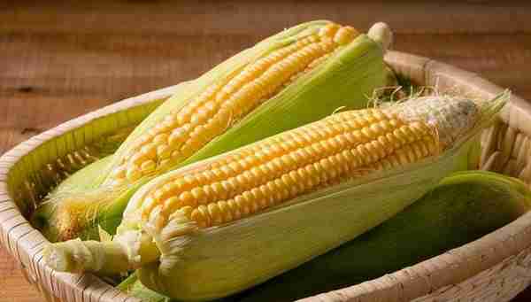 玉米与玉米淀粉期货半年报—玉米、淀粉否极泰来 期价或先扬后