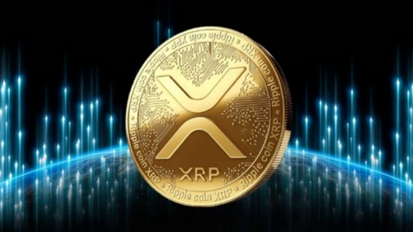   TRX安全交易平台，TRX币如何参与兑换